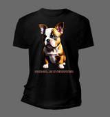 Frenchie Never Been Normal T-Shirts | Grooveman Music