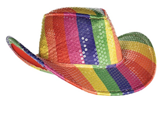 Rainbow Sequin Hat