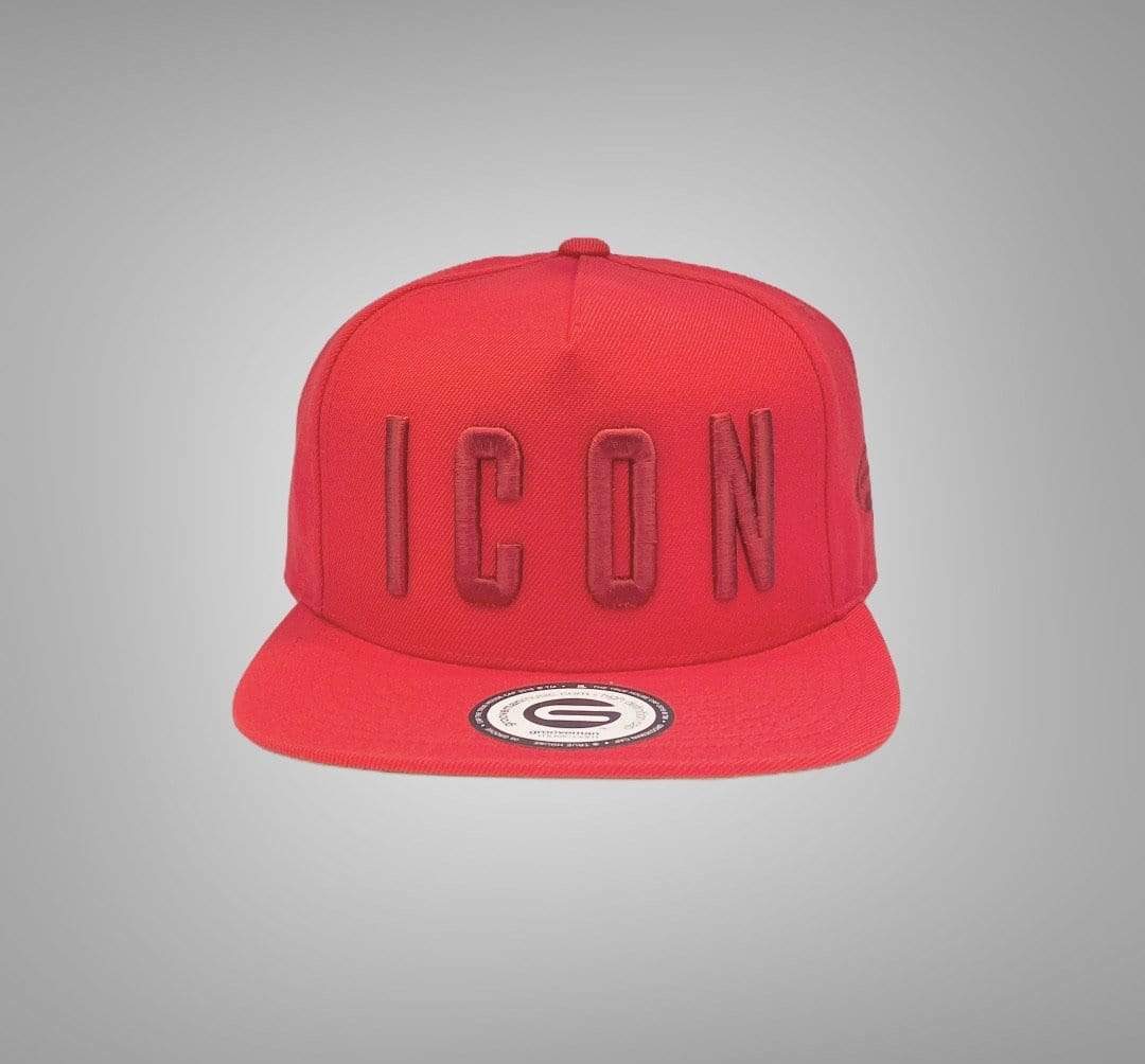 Grooveman Music Hats Icon Snapback Hat